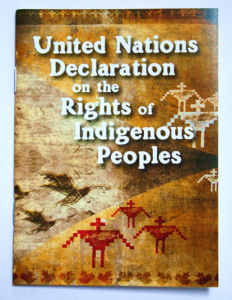 UN-Declaration