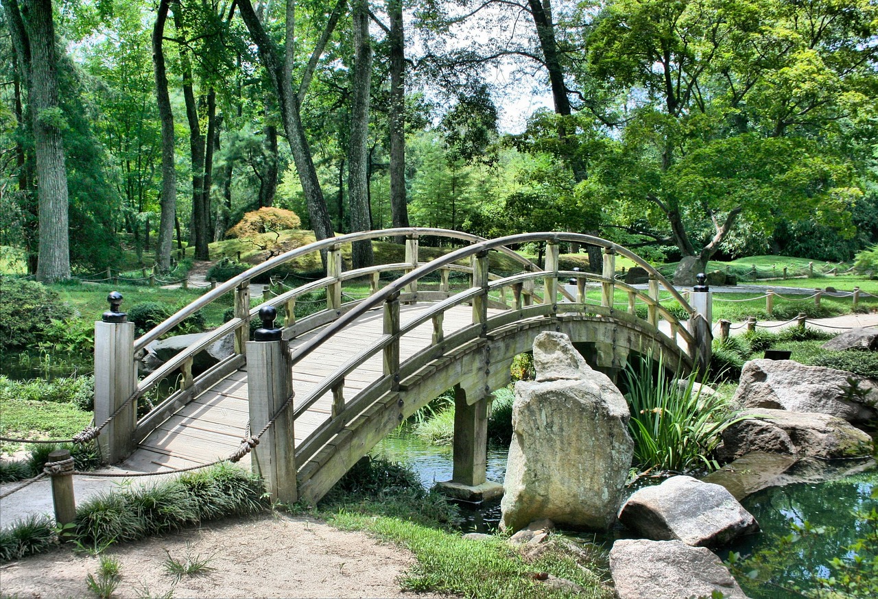 Green tree branches in woods with a small bridge over pond