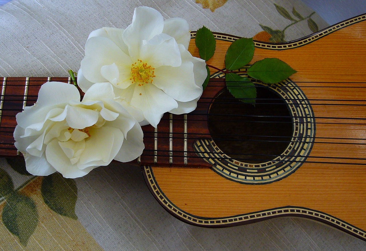 Flores blancas en guitarra mostrada horizontalmente.