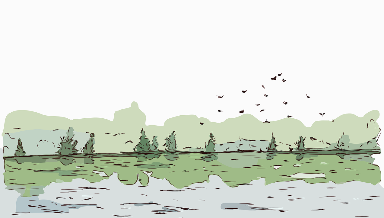 Jezioro i krzewy